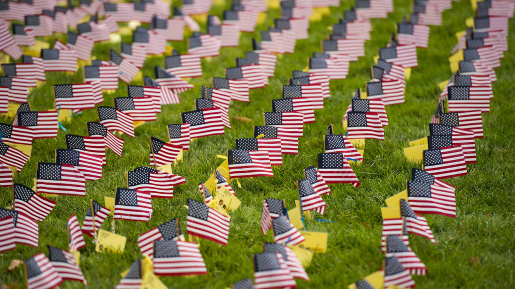 Rows of small American flags displayed on the Pentacrest for Veteran's Day 